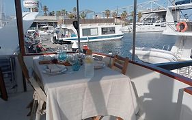 Yacht Y Fiestas
